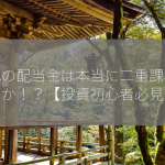 株式の配当金は本当に二重課税なのか！？【投資初心者必見】